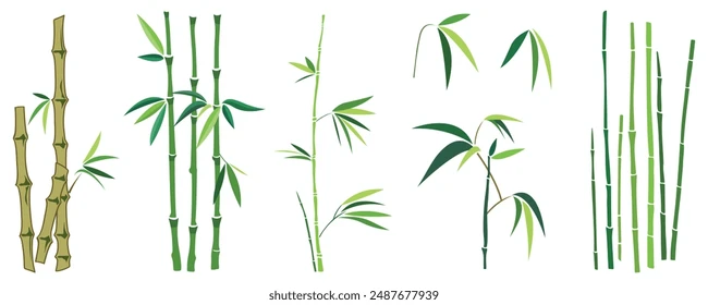 Vector Green Bamboo Stalks and Leaves Brushes