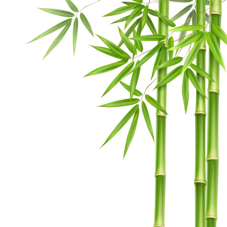 Vector Green Bamboo Stems and Leaves Brushes