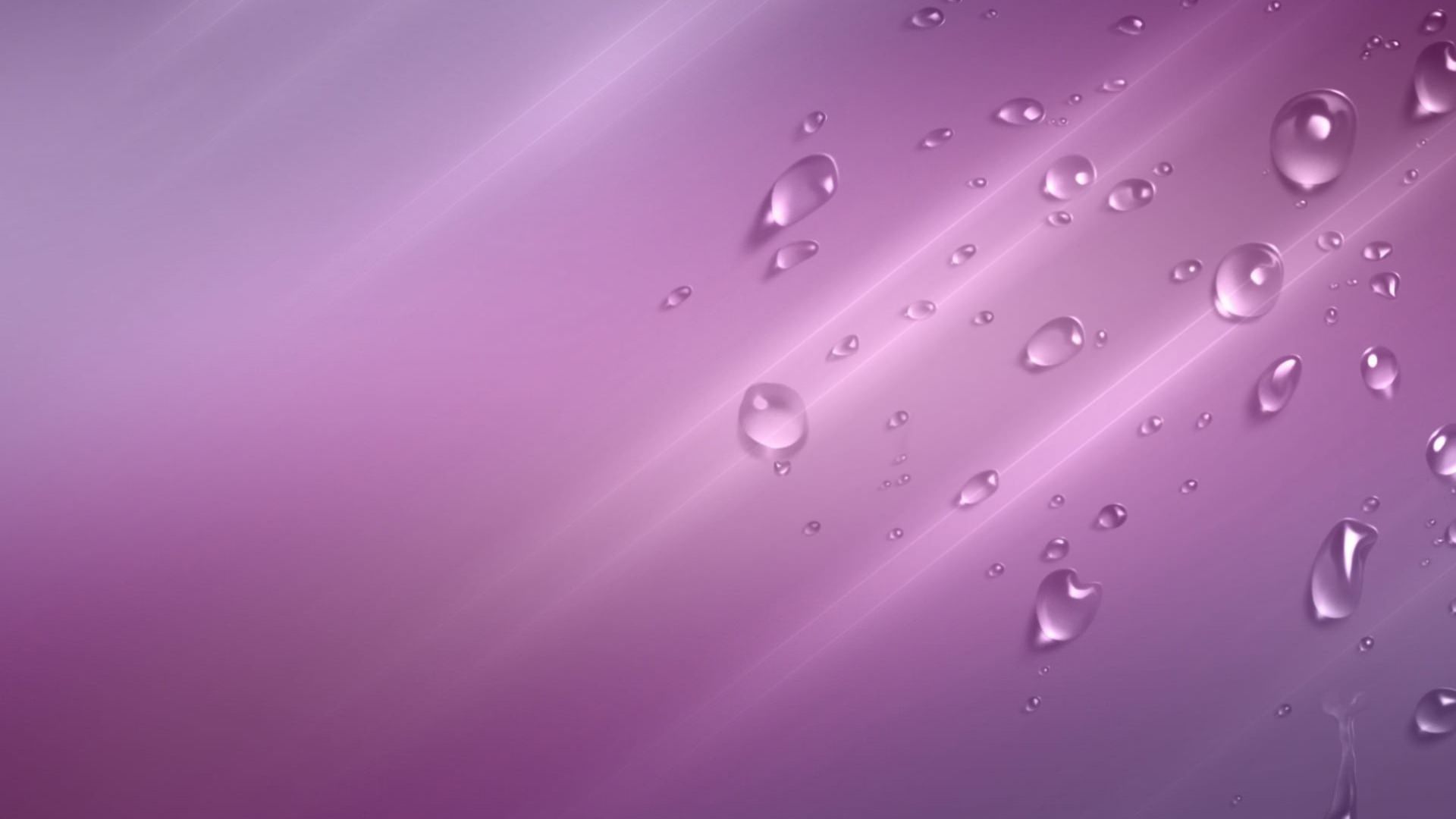 Water Bubbles on Purple Background