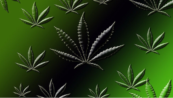 FREE 19+ Weed Wallpapers in PSD