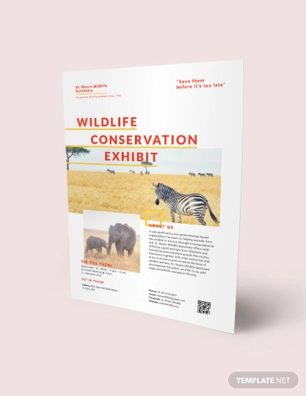 wildlife conservation flyer