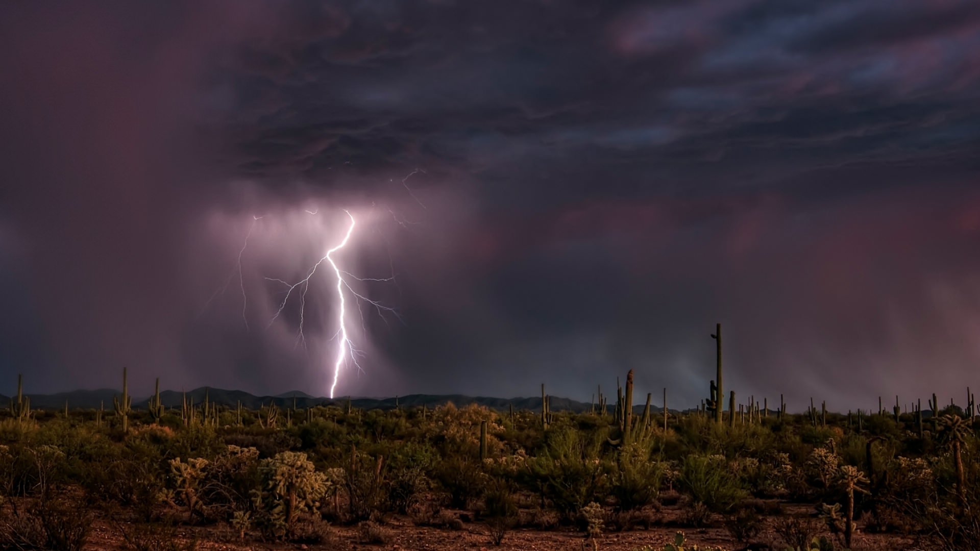 lightning in Desert Wallpaper