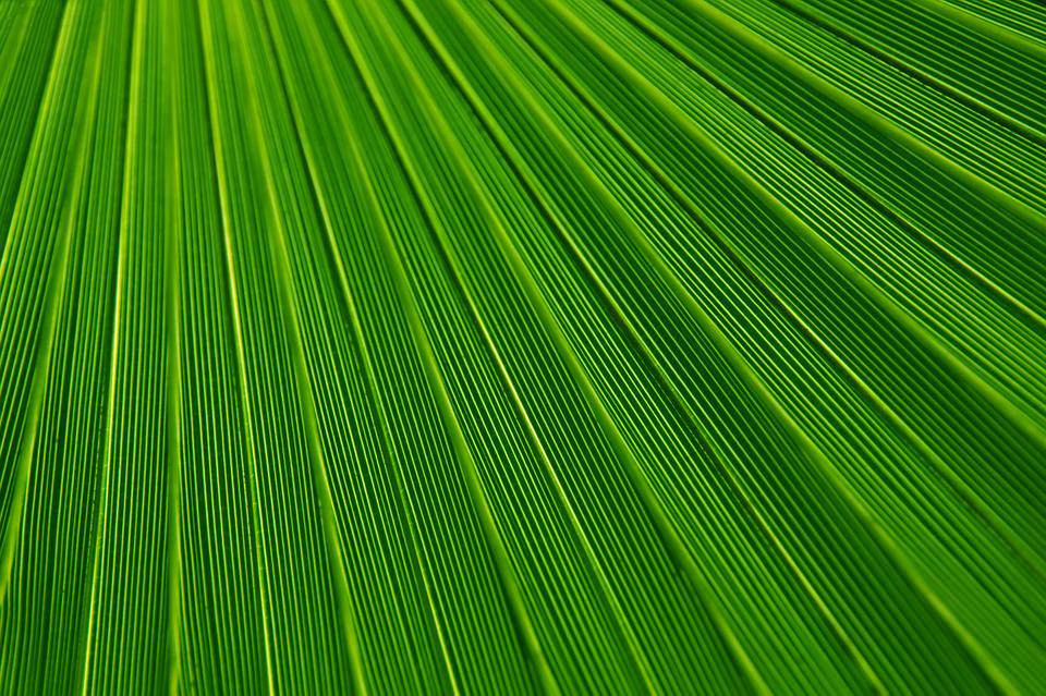 Abstract Green Textured Background