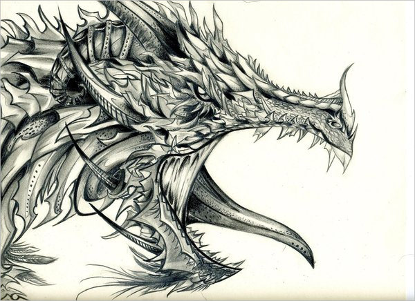 Dragon draw  Cool dragon drawings Dragon drawing Easy dragon drawings