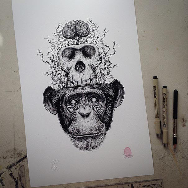 Animal Skull Drawings