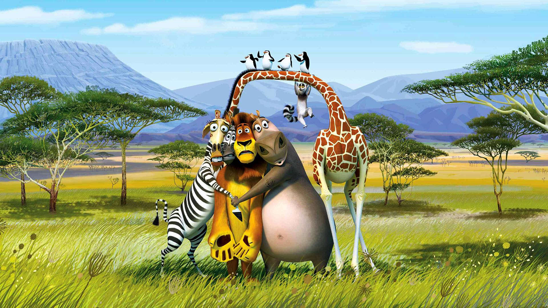 Animated Animals HD Wallpaper