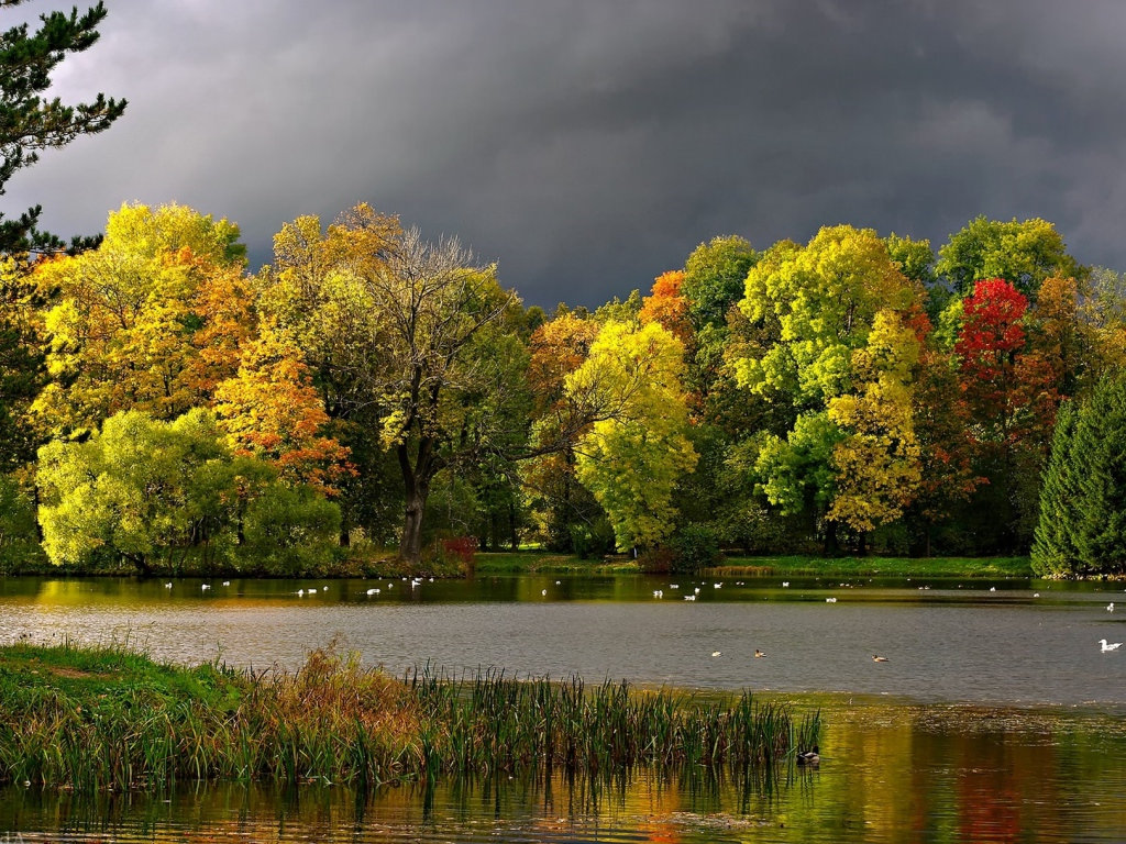 Autumn Clouds Seagulls Background