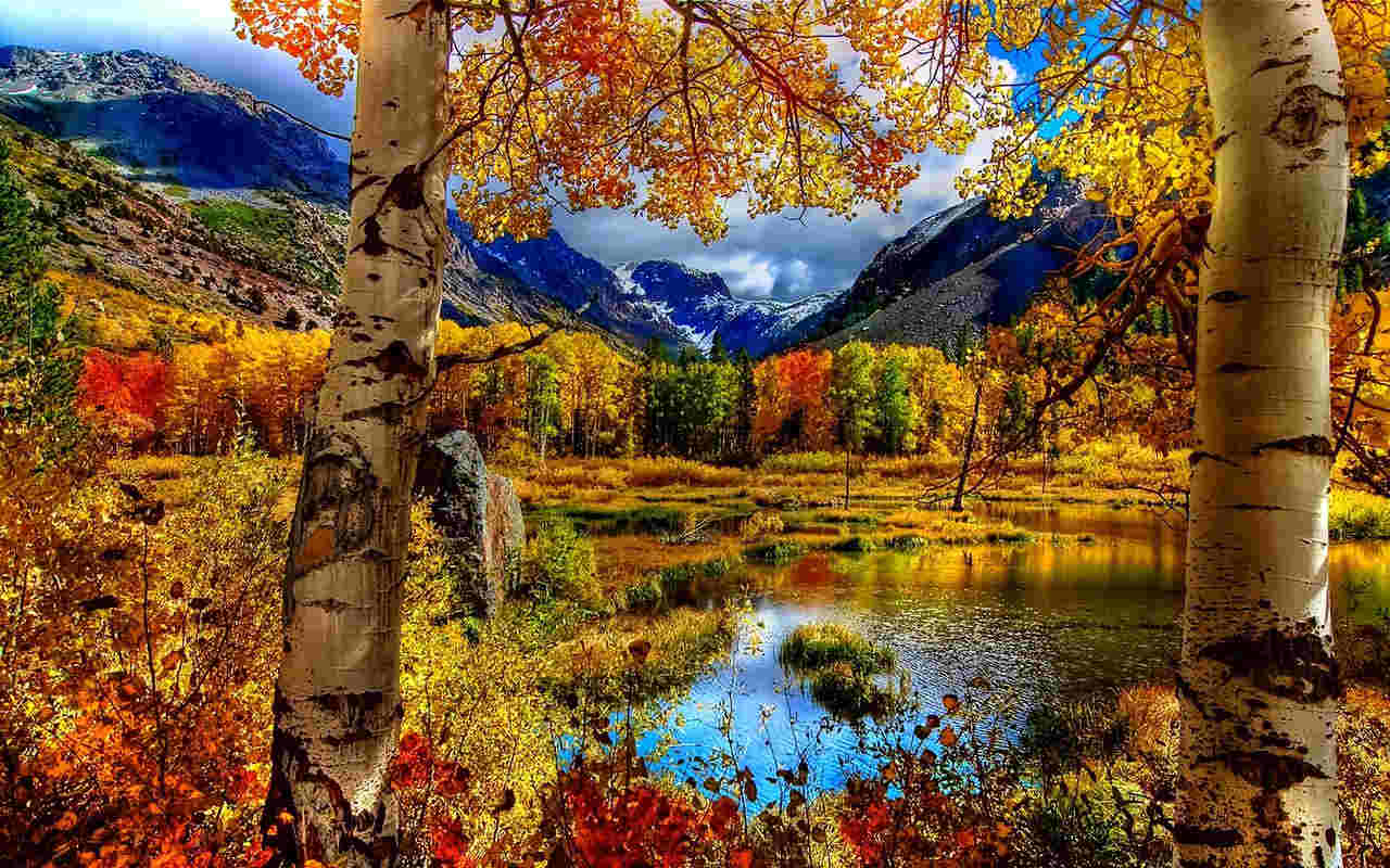 21+ Autumn Backgrounds, Fall Wallpapers, Pictures, Images ...