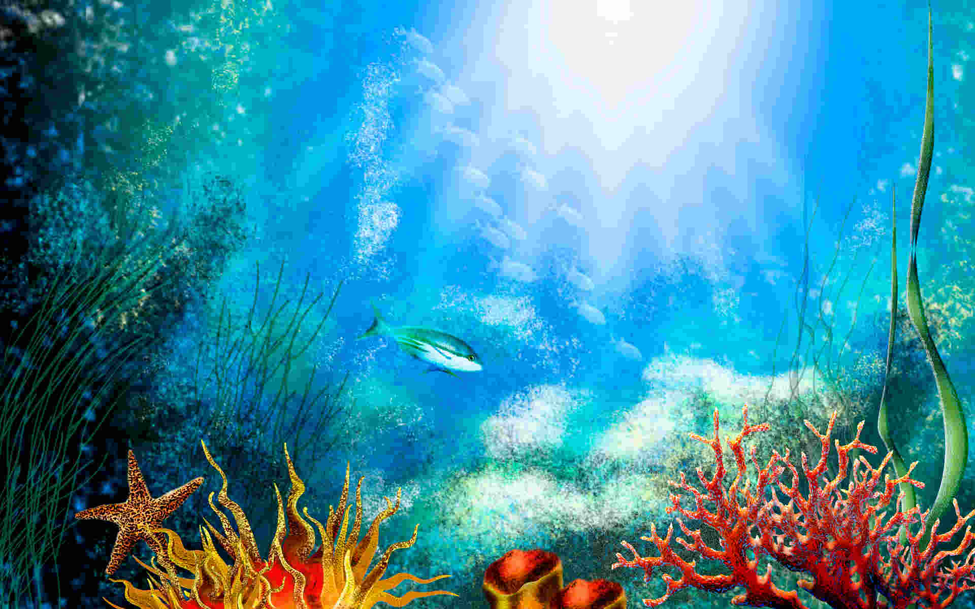 Awesome Aquarium Wallpaper