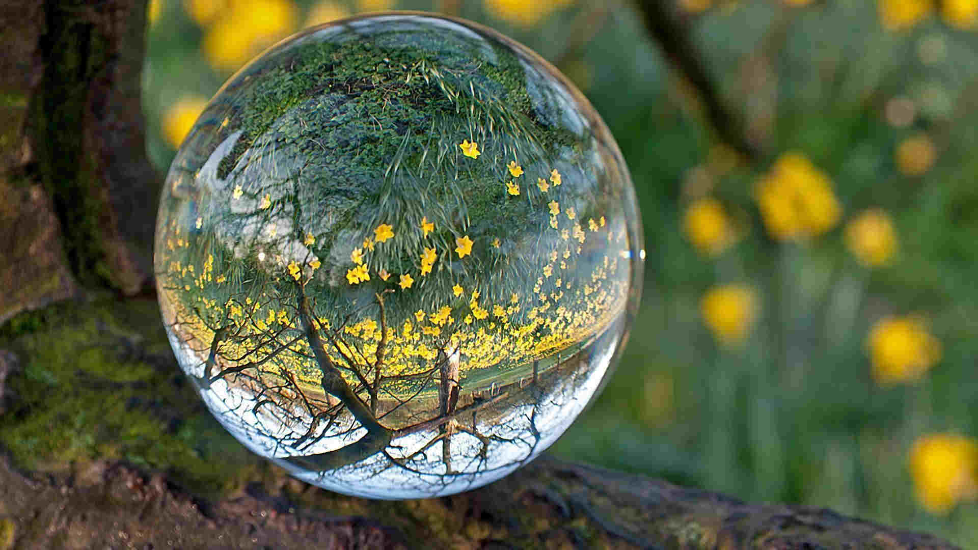 Ball Glass Reflection Wallpaper