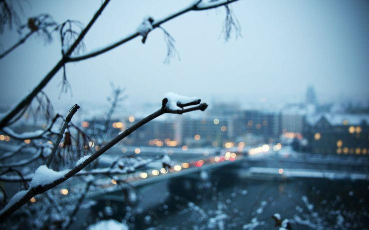 Blurred Snow Branches Wallpaper