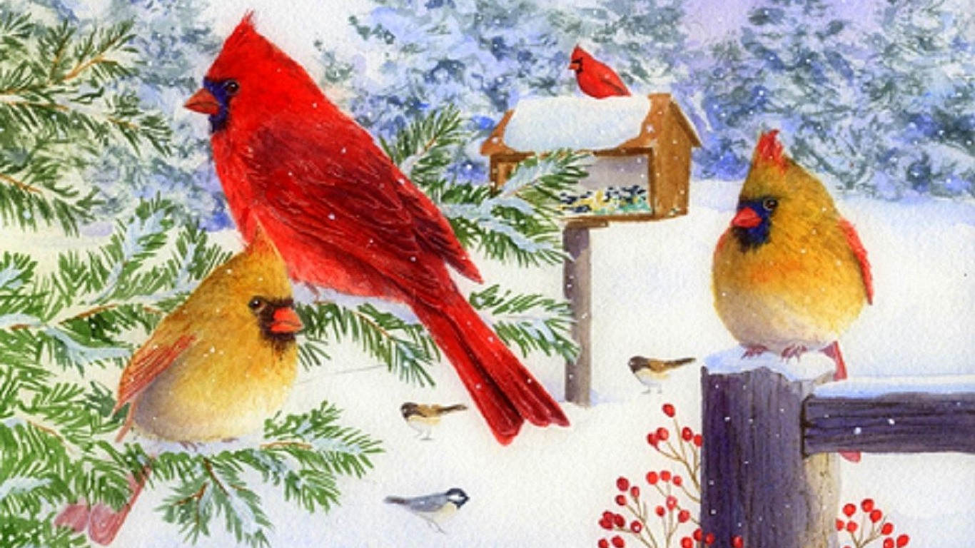 Cardinals In Snow Wallpaper