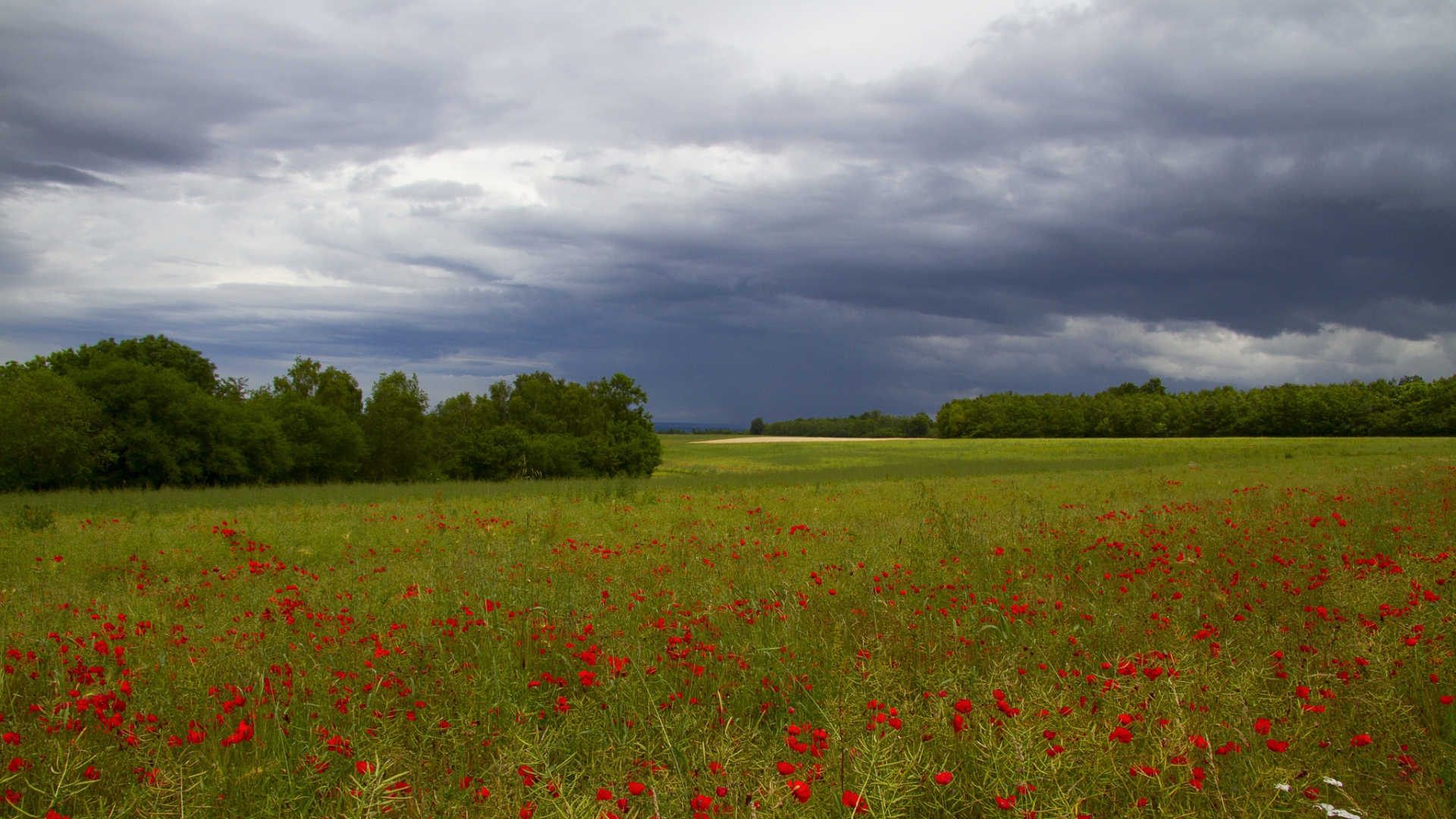 Clouds Scenario Nature Wallpaper