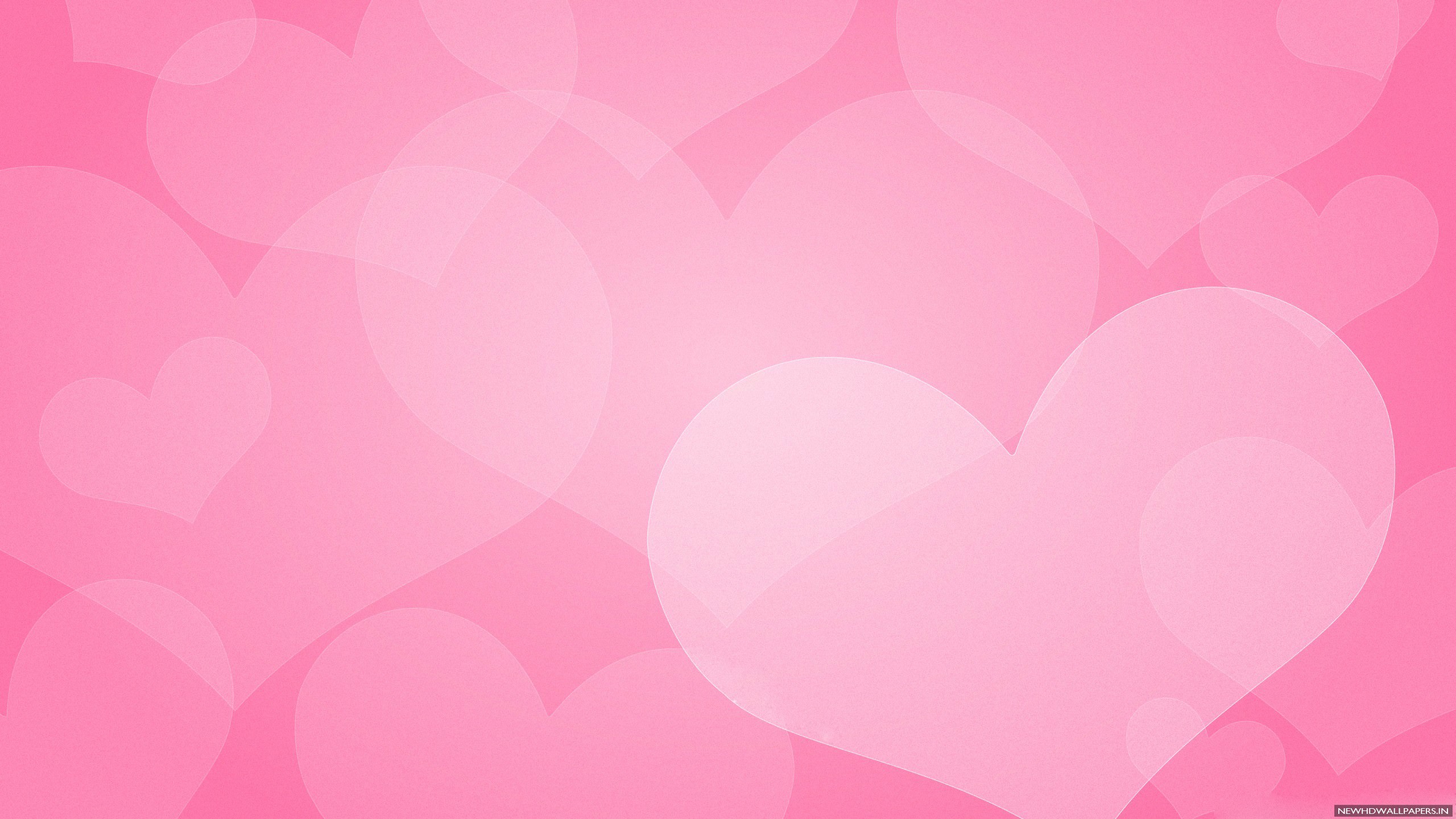 Cool Pink Plain Background