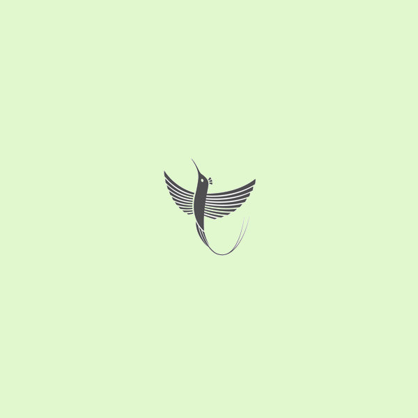 Doctor Bird Photography Logo
