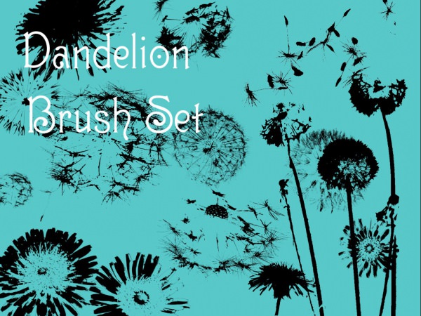 dandelion brush photoshop free download