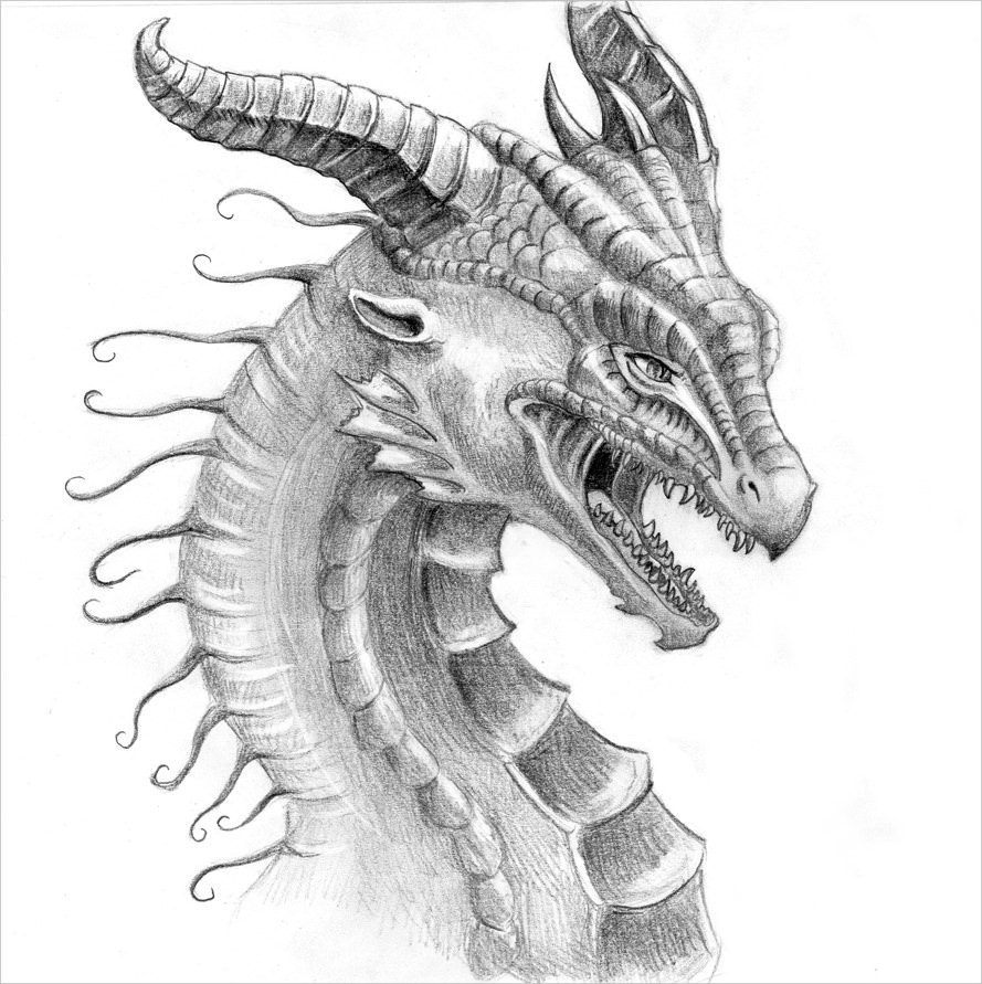 Dragon Face Drawing