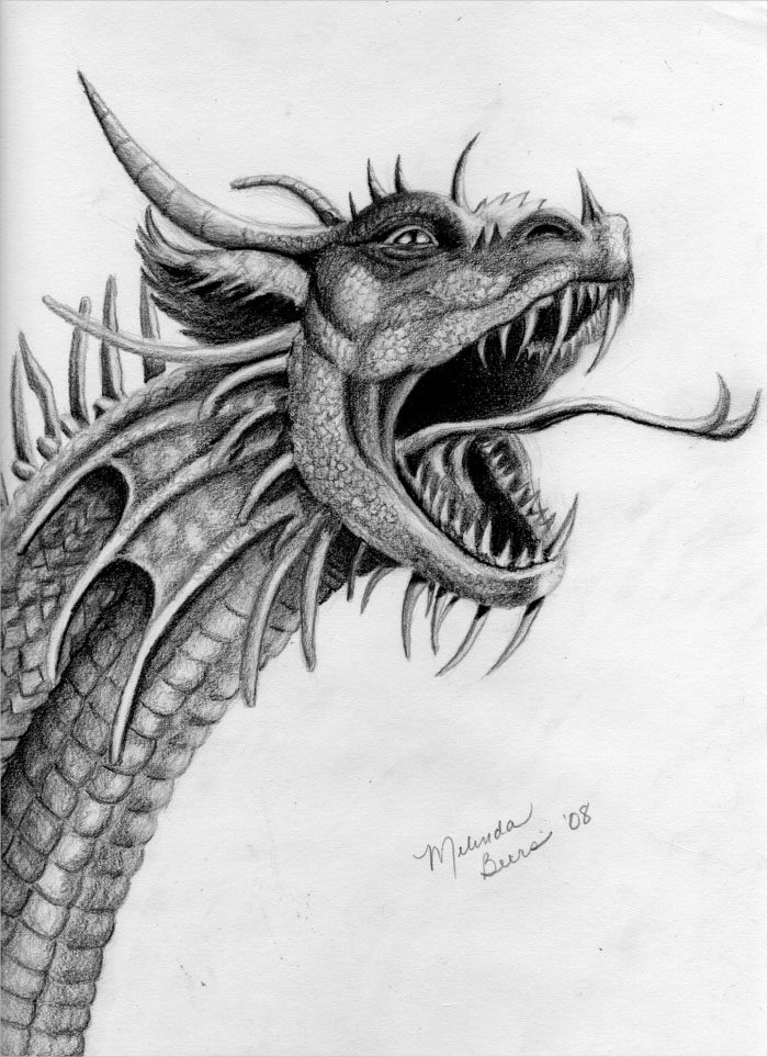 Dragon Roaring Drawing