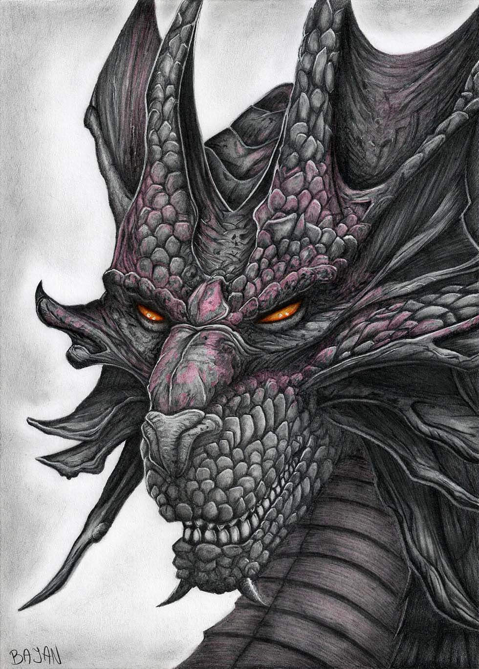 21+ Realistic Dragon Drawings | Free & Premium Creatives