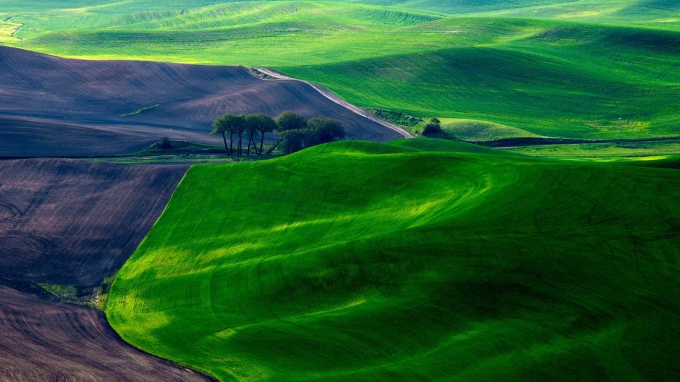 Dreamy Green Fields Mac Wallpaper