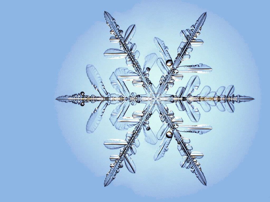 Elegant Snowflake Background