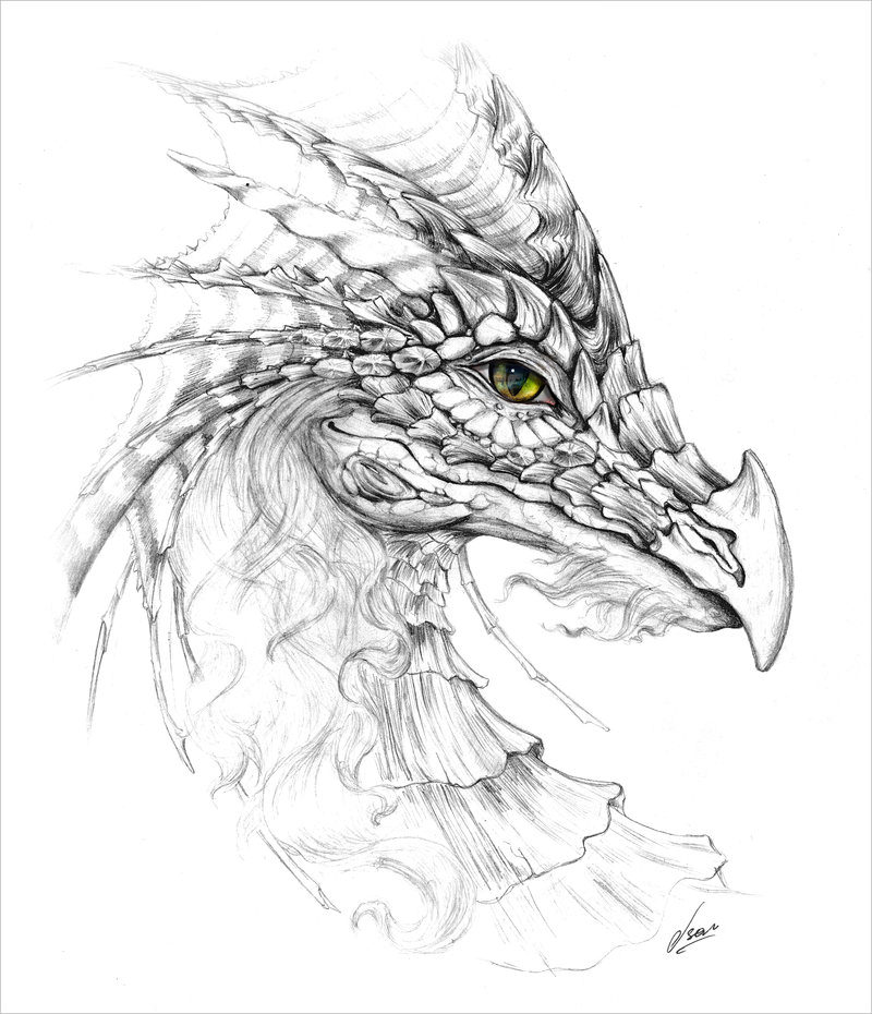 Eye of Dragon Drawing