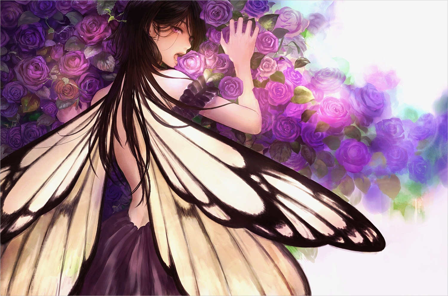 Fairy with Purple Roses Wallpaper