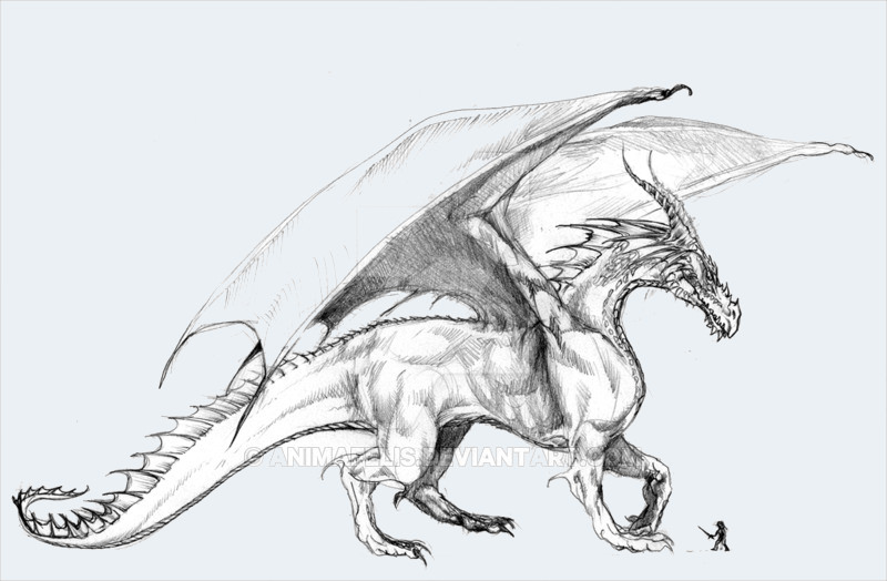 realistic dragon pencil drawings