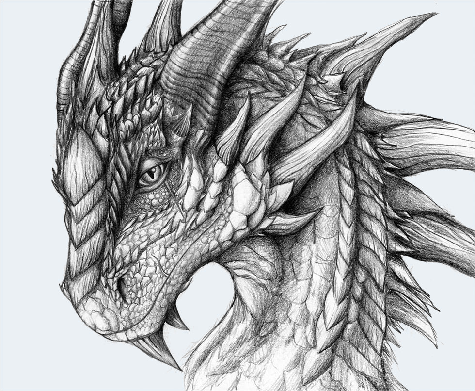 Fierce Dragon Drawing For Free