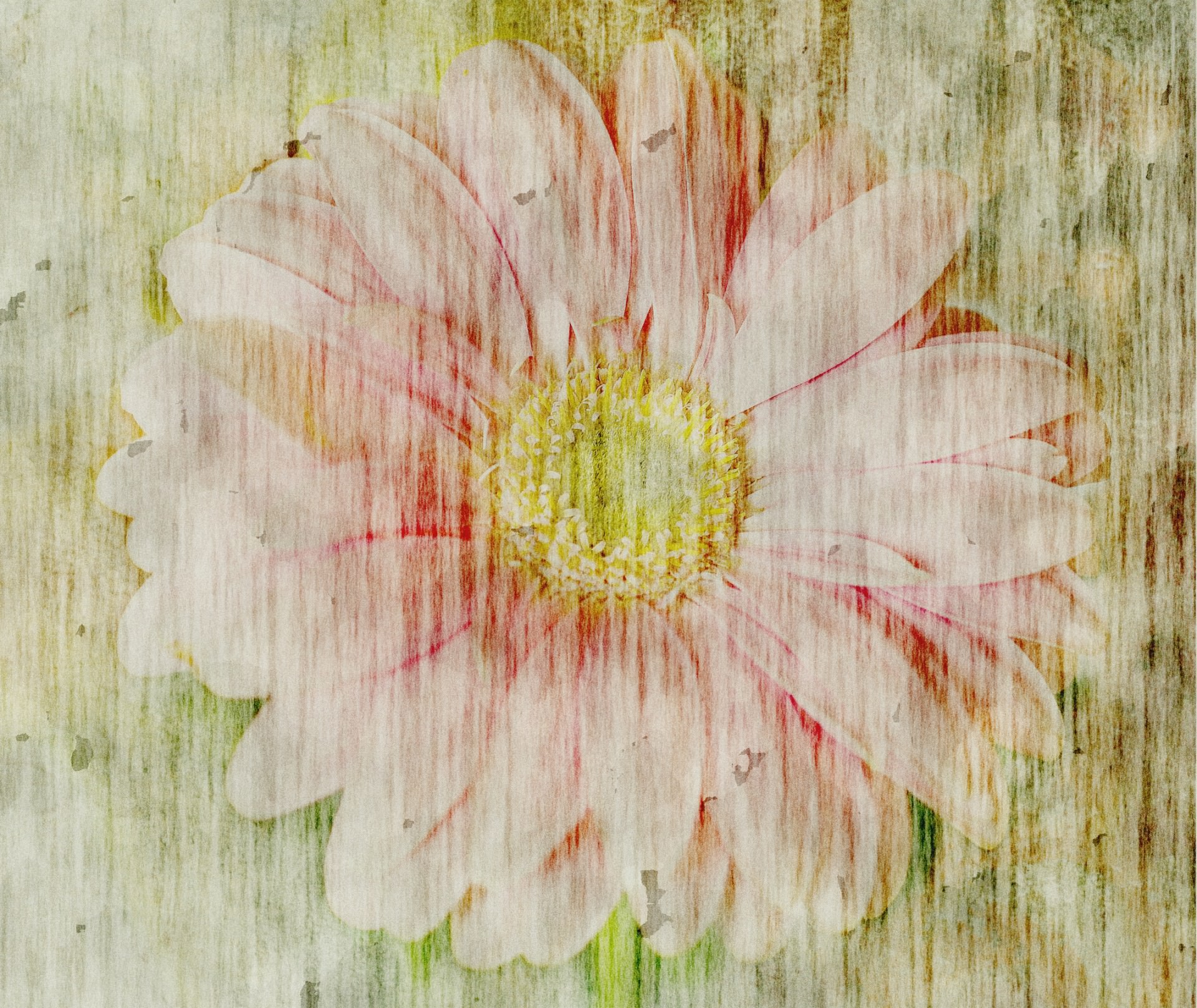 Flower Grunge Wallpaper