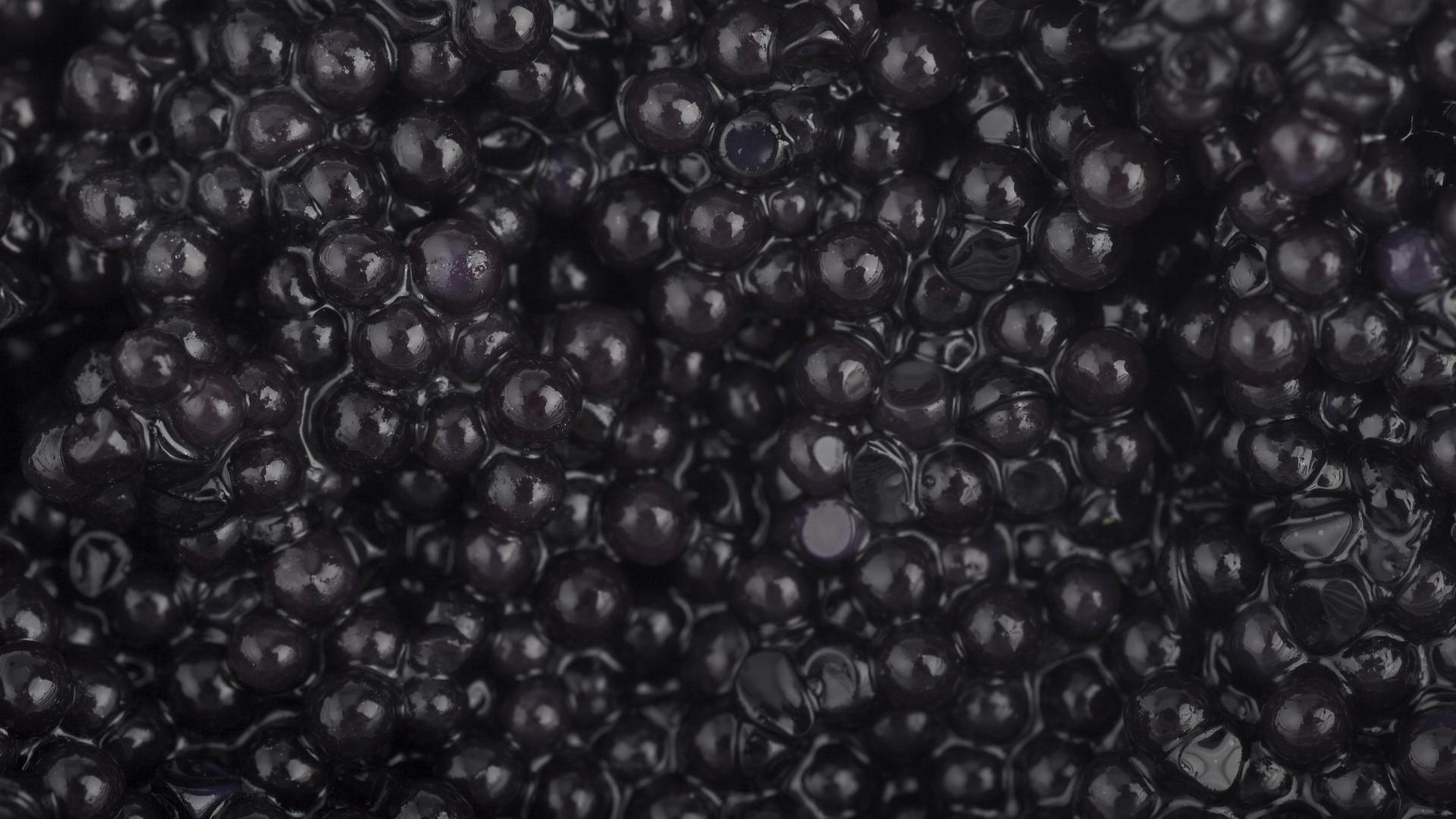 Free Caviar Granular Wallpaper