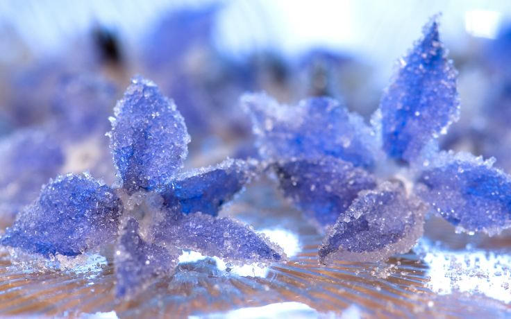 Frost Ice Petals Crystal Wallpaper