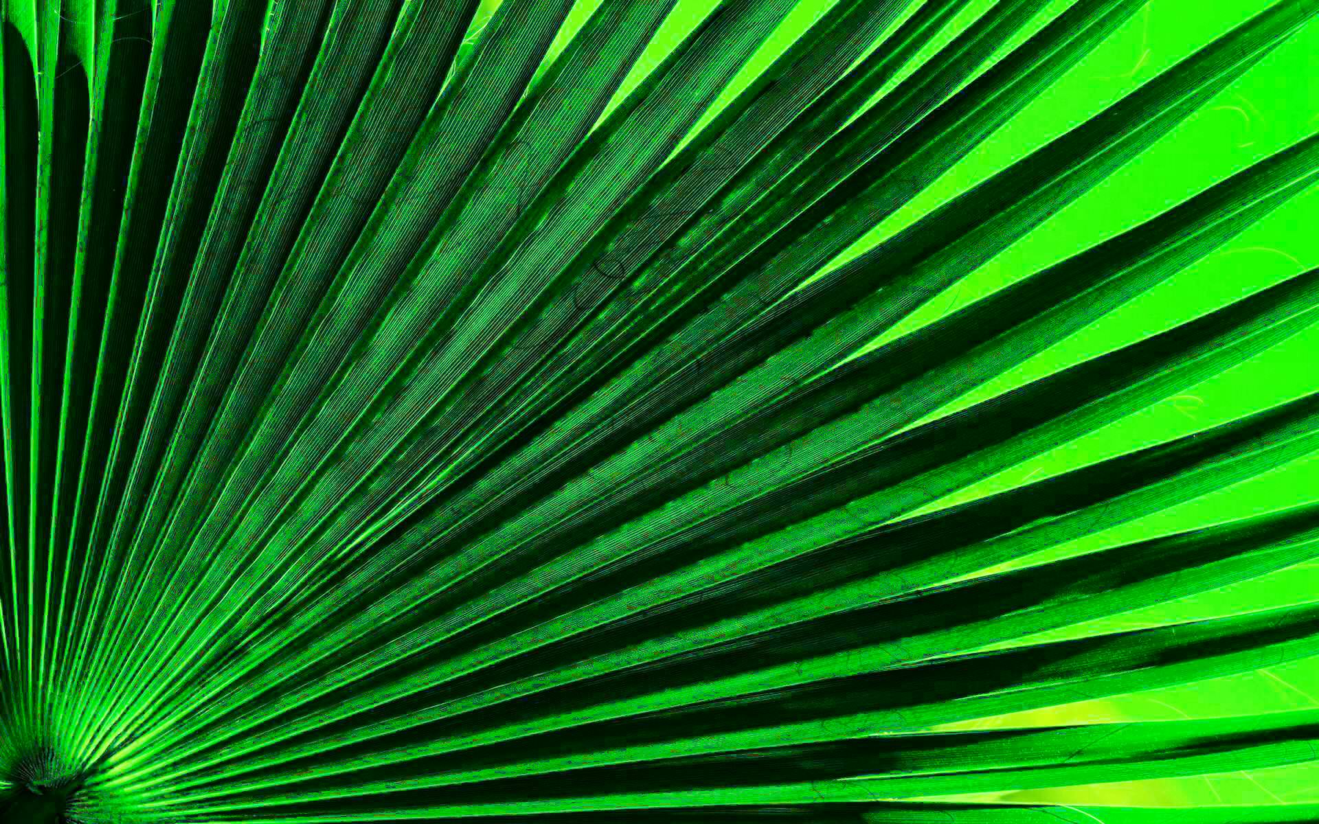 Green Leaf Tissue Textured Background