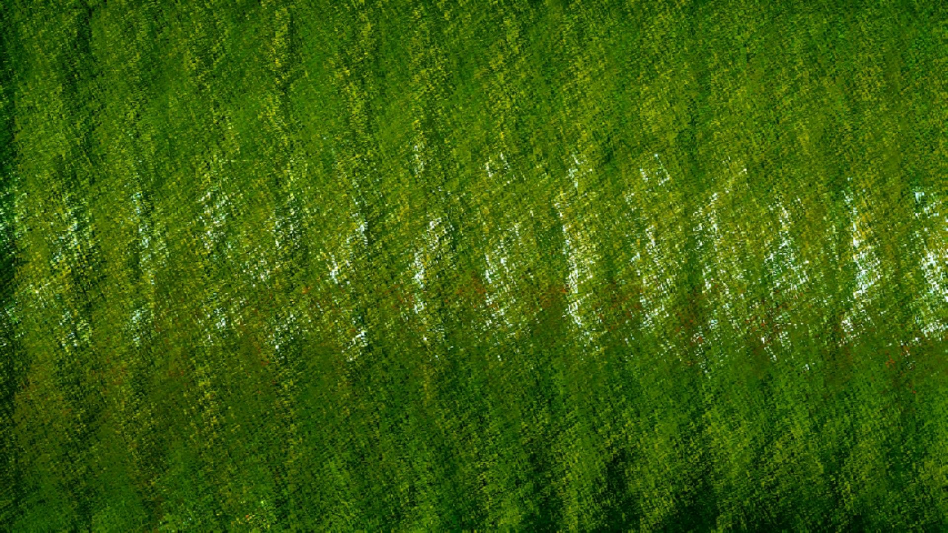 Green Textured Background For You