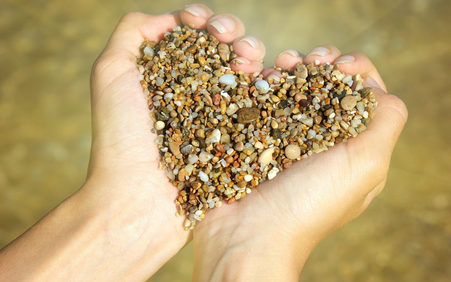 Heart Shape in Hand Background