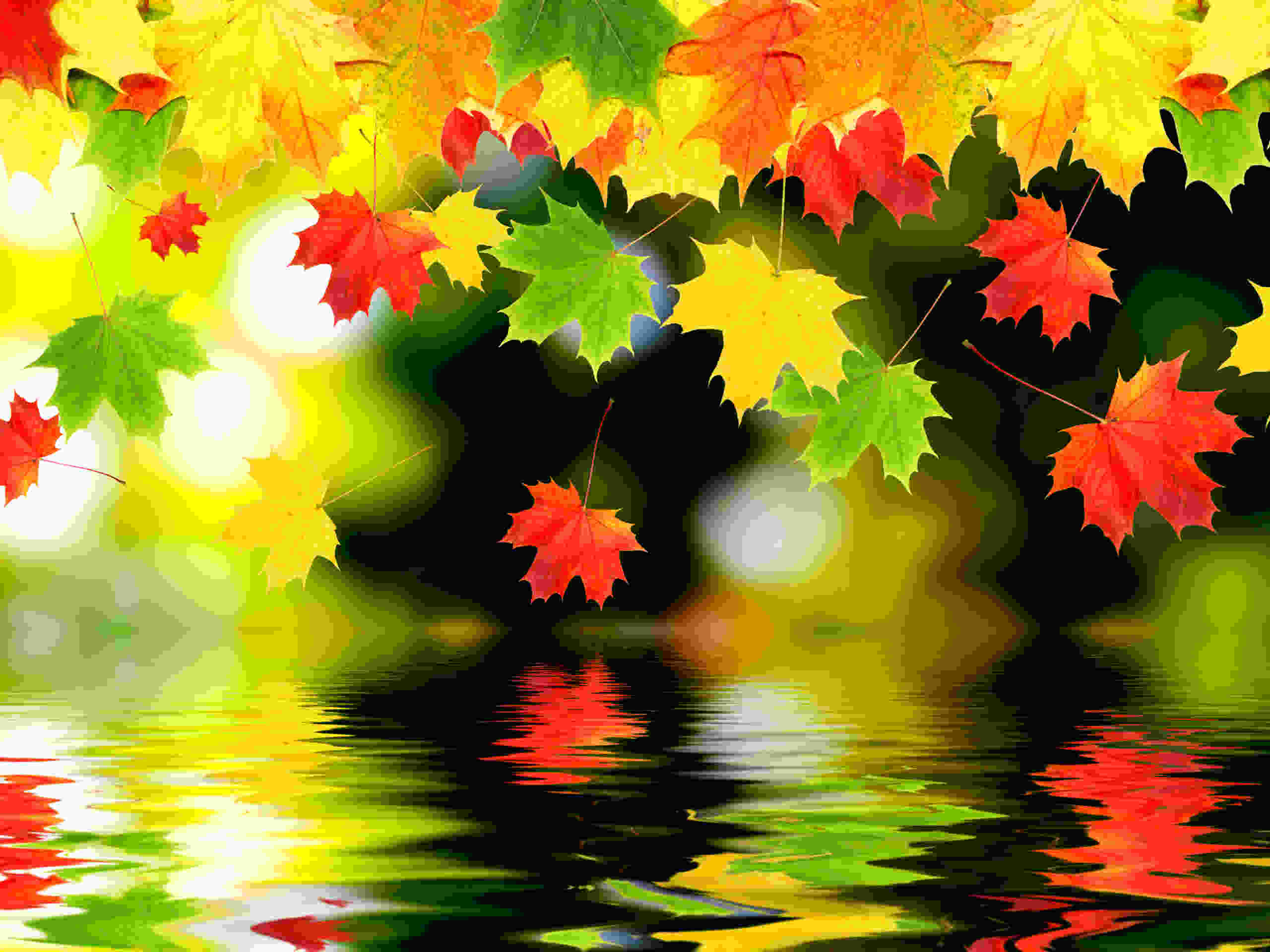 High Resolution Autumn Background