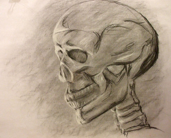 High resolution Skull Drawing