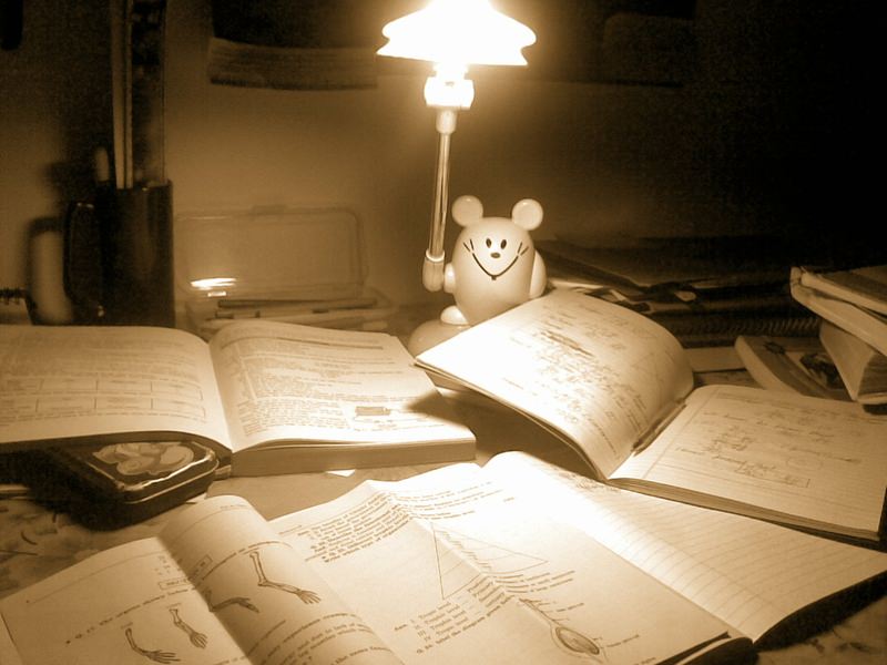 Midnight studying