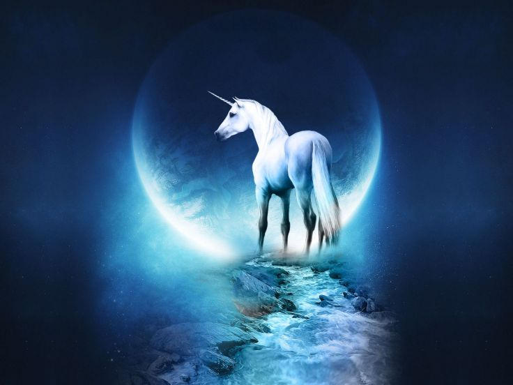 Magical Moon Unicorn Background