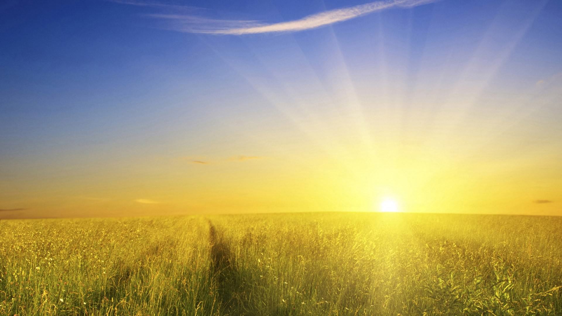 Nature glory Sunshine Wallpaper