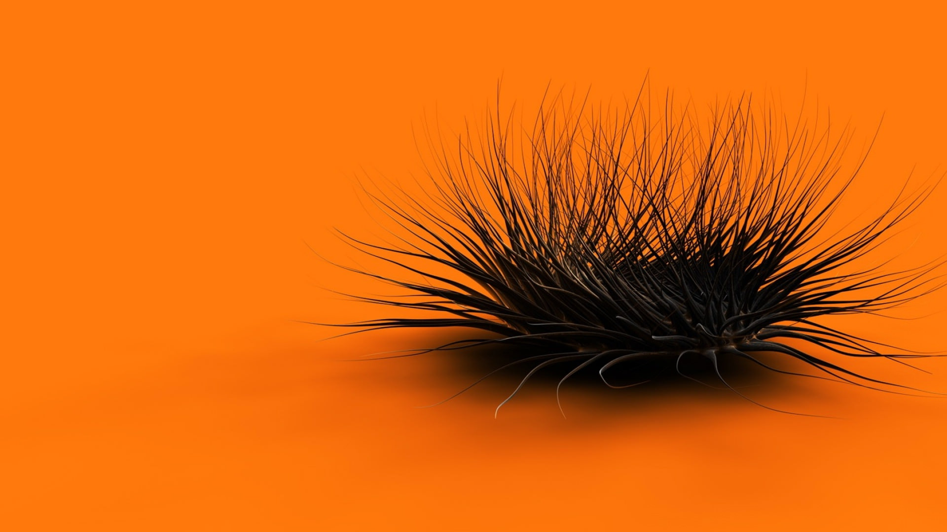 Orange Black Feathers Background