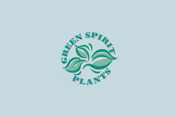 Plants Logo Design