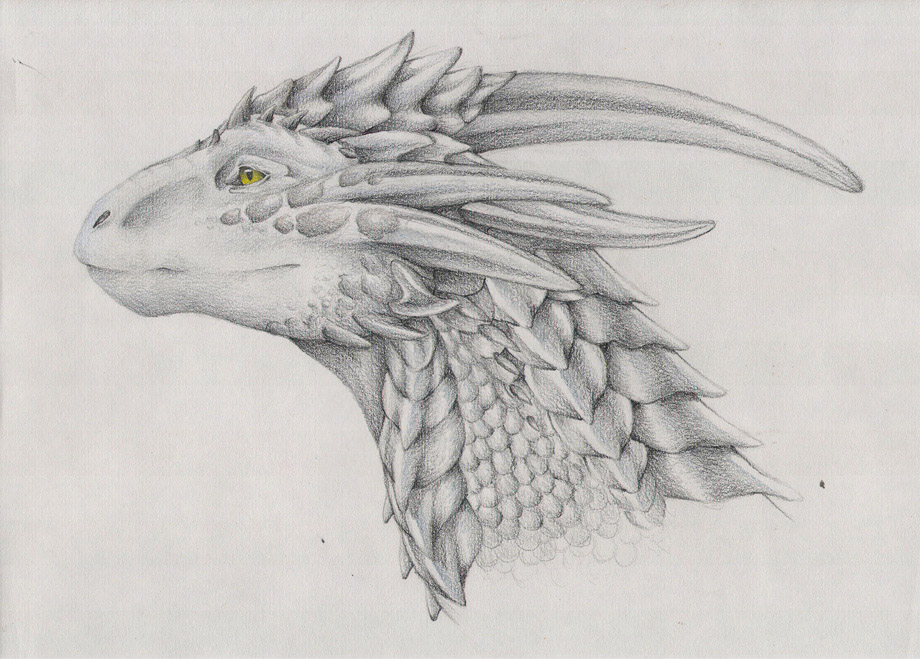 awesome drawings of dragons