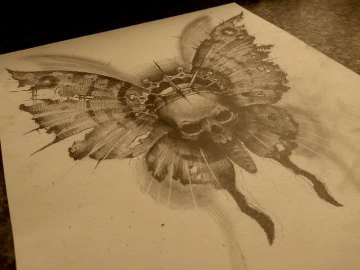 Skull Butterfly Drawing