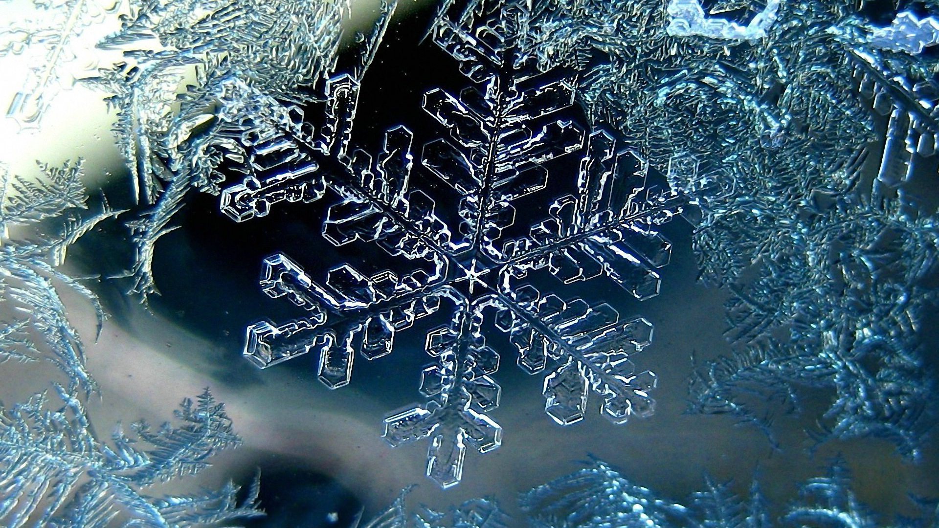 Snowflake Winter Macro Ice Wallpaper