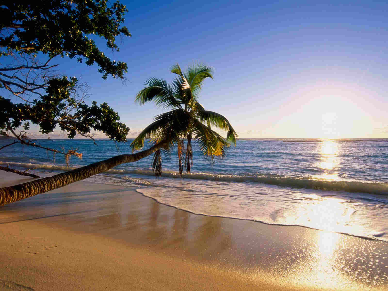 Sunrise Beach Wallpaper For You