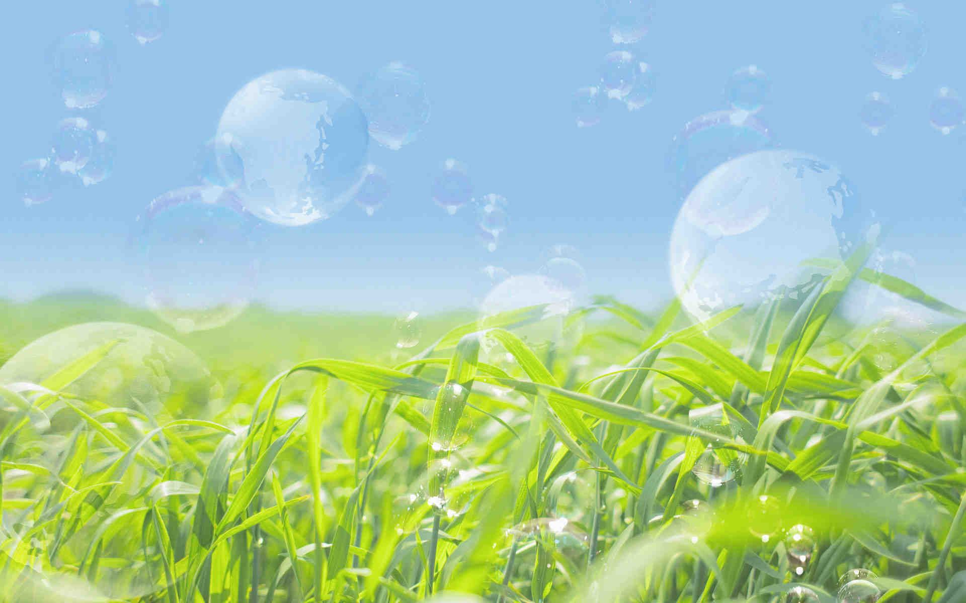 Transparent Bubbles Nature Wallpaper