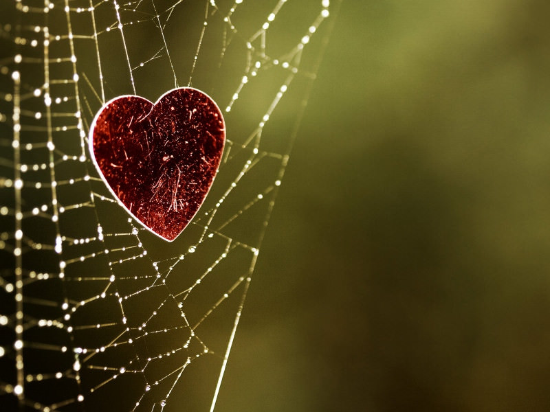 Web Heart Background