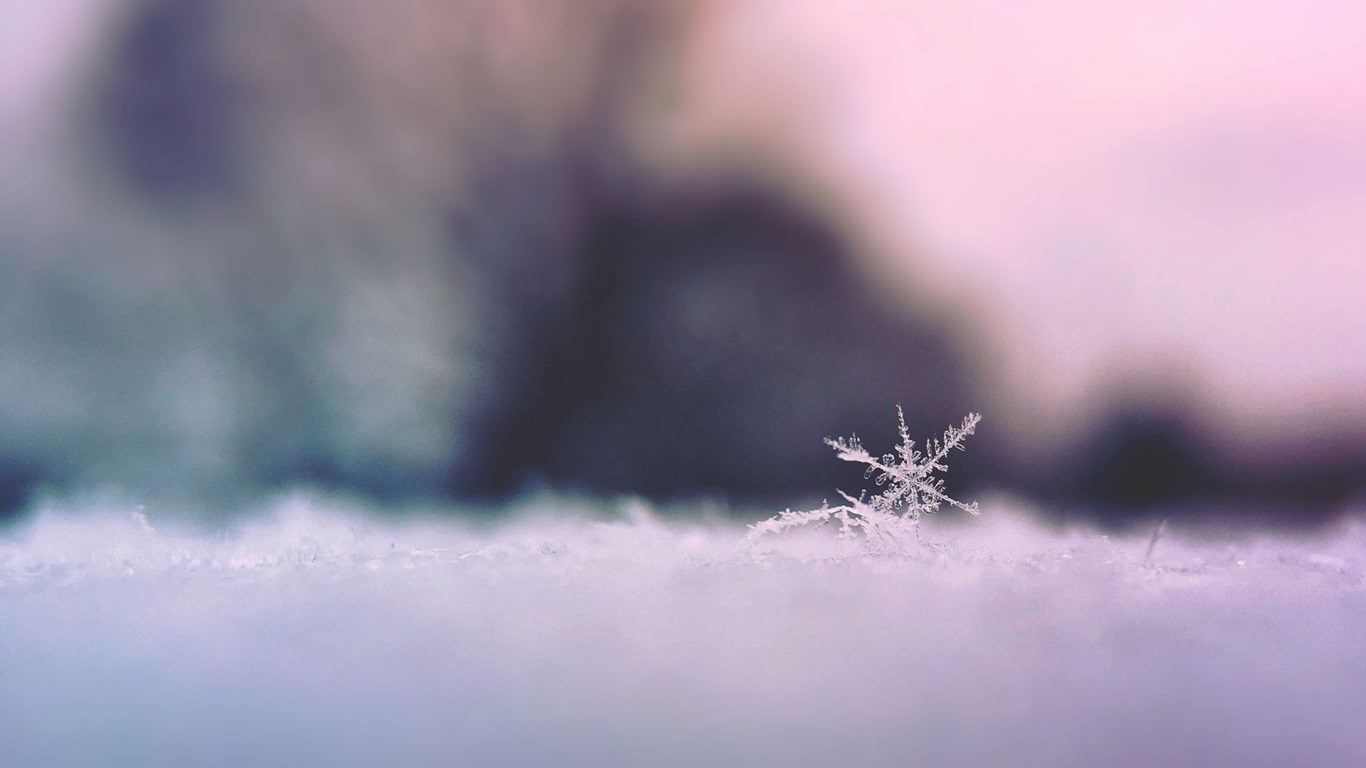 White Snowflake Wallpaper