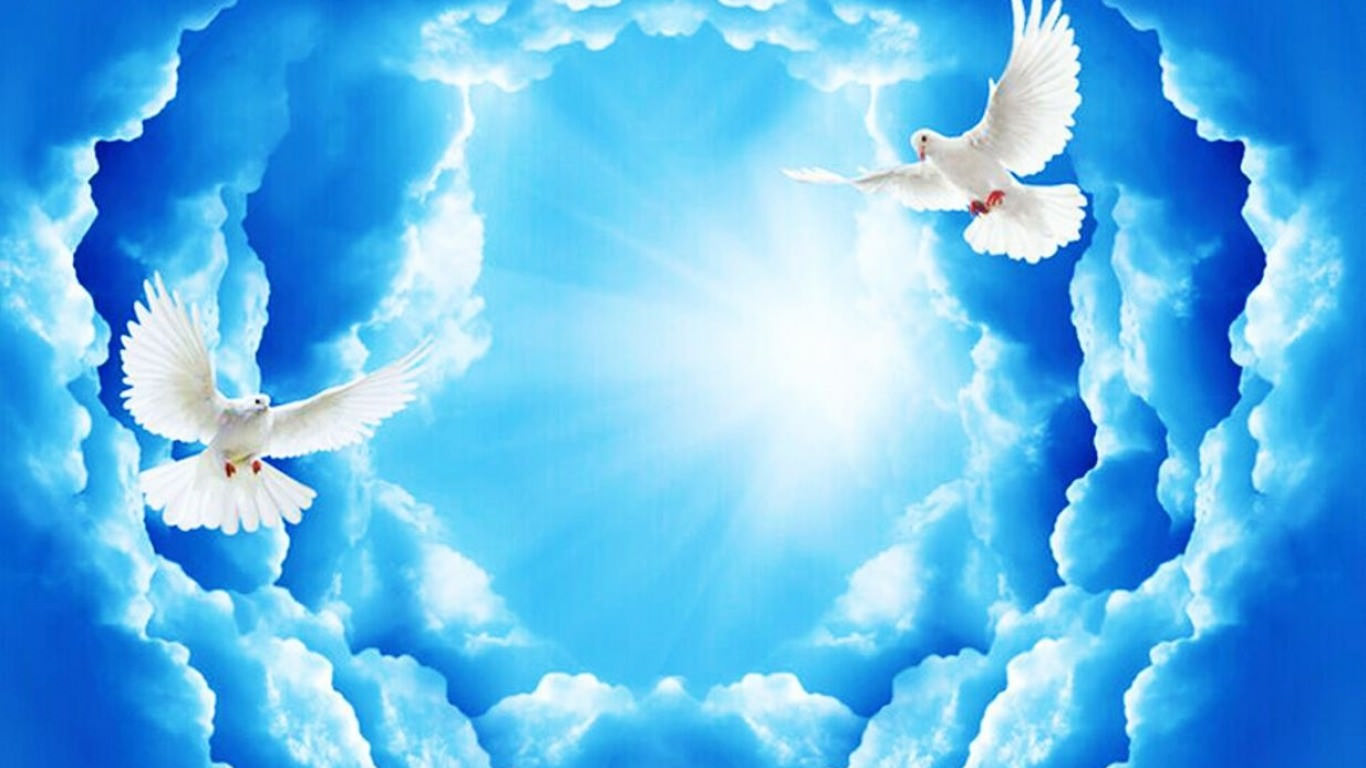 white Doves In Clouds